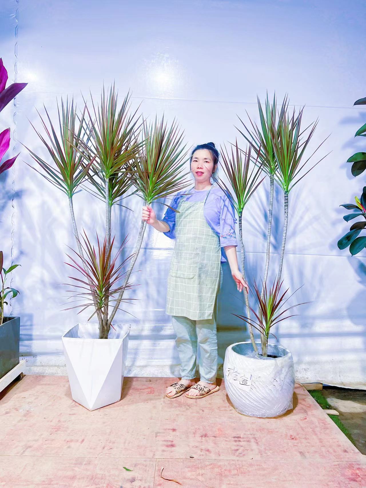 千年木七彩铁简约时尚北欧风格