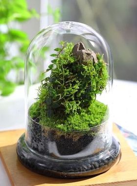 城懿玻璃永生花微景观玻璃摆件