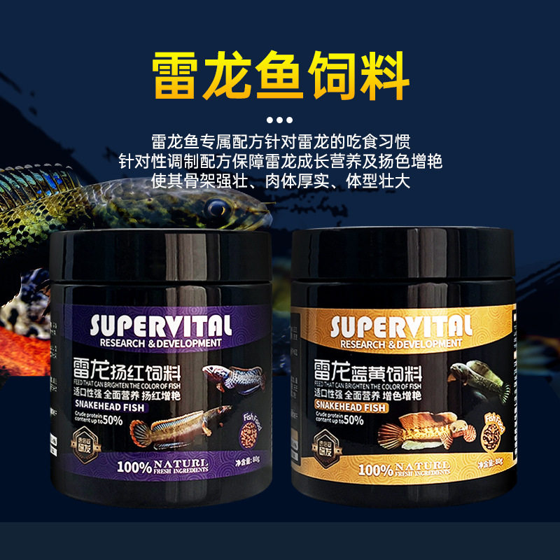 速倍妥雷龙鱼饲料阿萨姆眼镜蛇巴卡铅笔鱼七彩水产专用鱼粮小颗粒