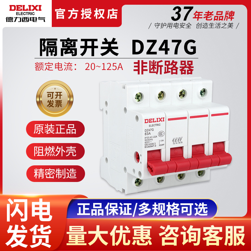 德力西小型隔离开关DZ47G 1P2P3P4P 20A-125A 隔离刀闸开关保险丝