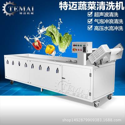 TM-320型蔬菜清洗机 葡萄柚臭氧气泡多功能洗菜机 小型水果洗果机