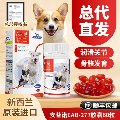 安替诺Antinol安适得软骨素狗猫关节强炎安它诺髌骨脱位腰椎骨刺