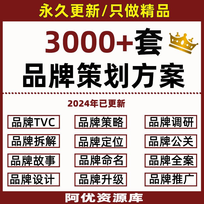 2024精选品牌战略策略公关传播提案运营定位文案PPT策划方案模板