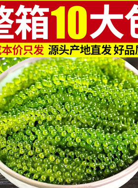 海葡萄500g新鲜网红爆款小吃零食健康绿色鱼子酱盐渍海带送芥末