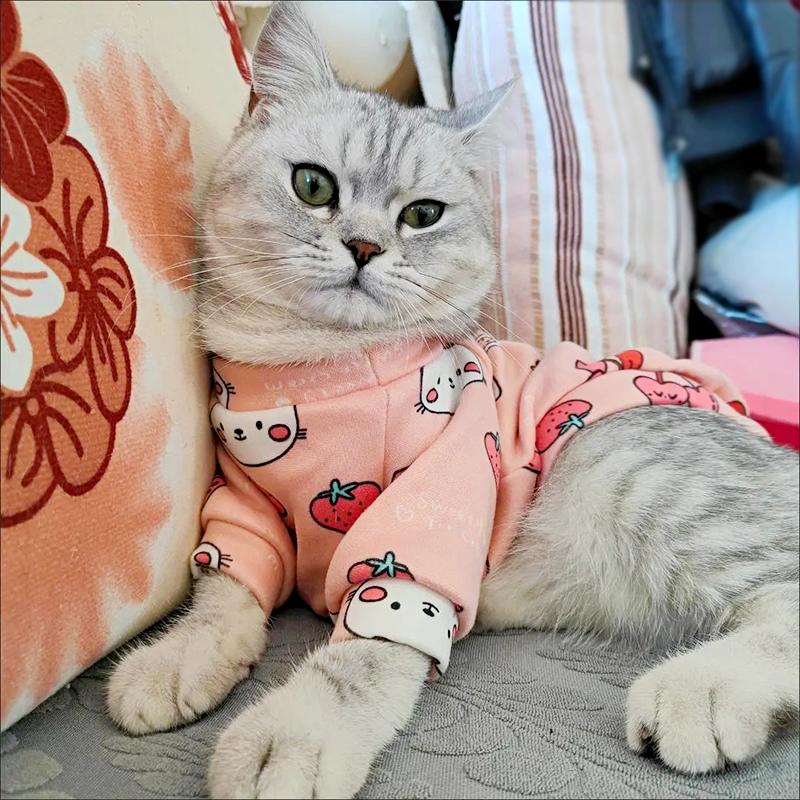 可爱秋冬猫咪狗狗冬季衣服保暖背心比熊小型犬两脚带袖加绒保暖 宠物/宠物食品及用品 狗宠物服装/雨衣 原图主图