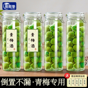 青梅泡酒专用玻璃高档自酿果酒容器空瓶子杨梅泡酒罐食品级密封罐