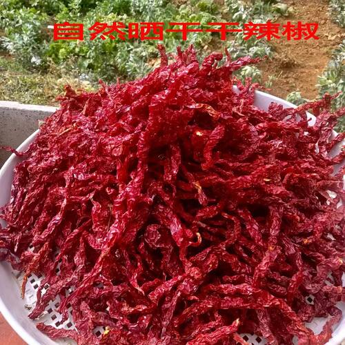 贵州特产二荆条皱皮辣椒