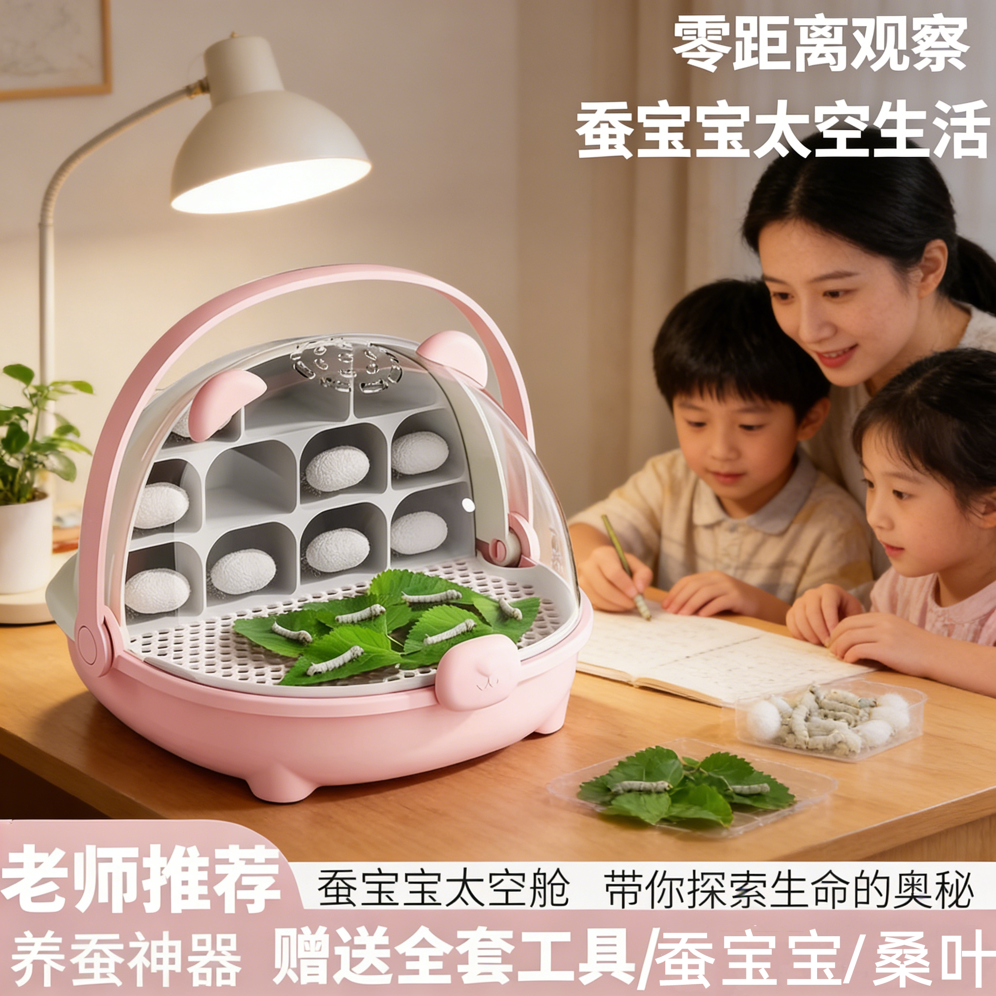 天然彩色蚕卵幼虫饲养箱三年级豪华别墅太空舱蚕宝宝学生养蚕套装