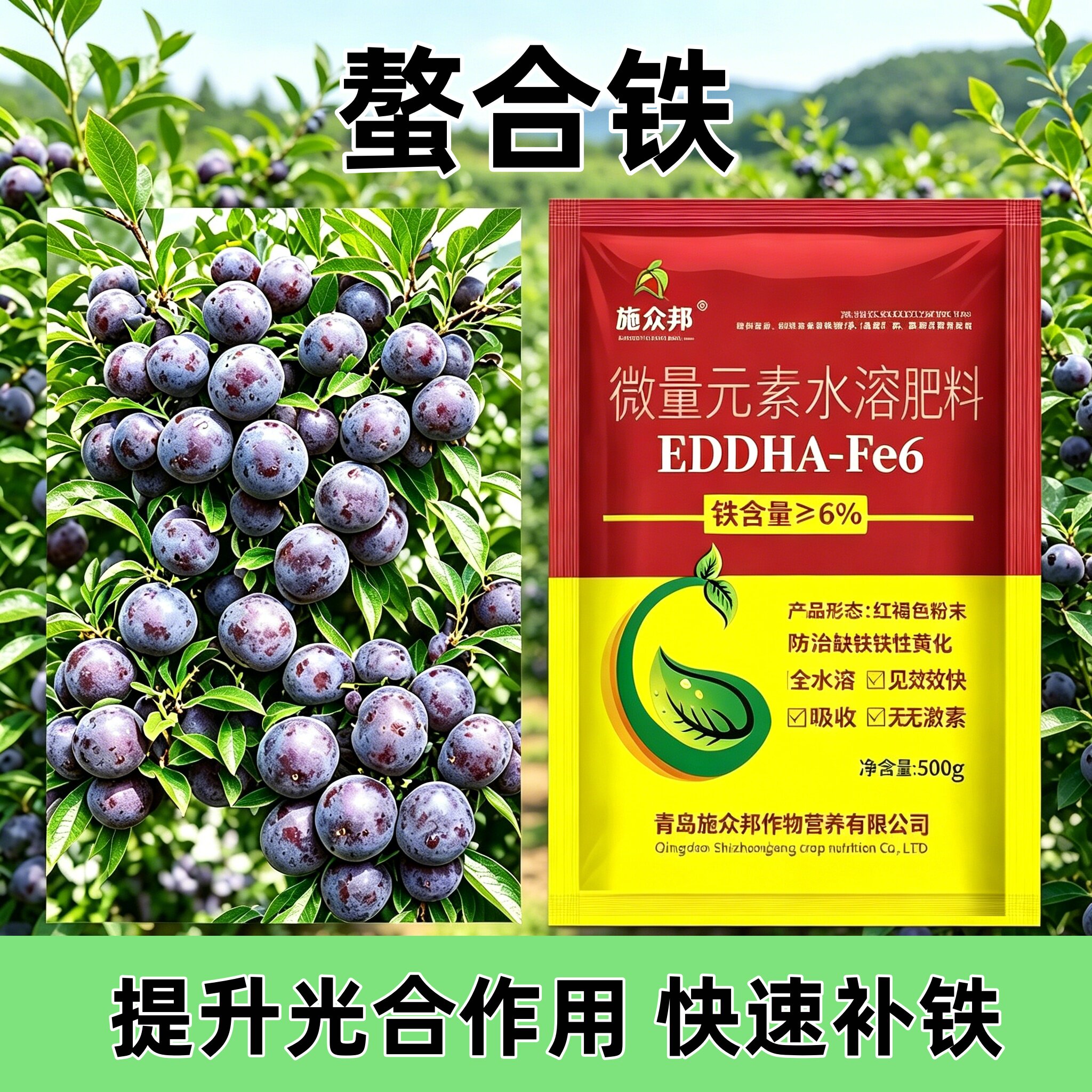 螯合铁果树专用微量元素水溶肥料