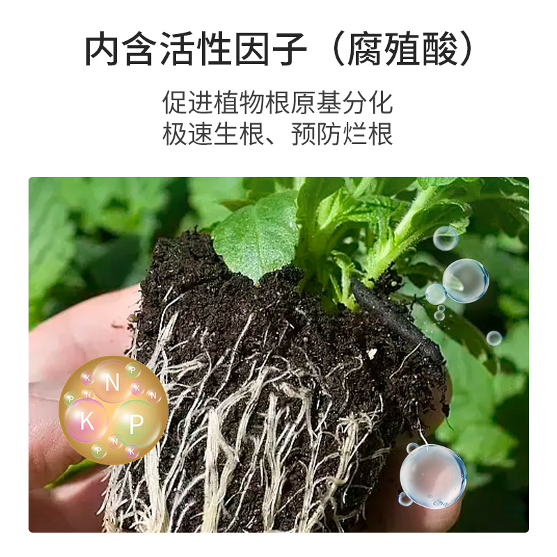 生根粉植物通用快速扦插壮苗剂多肉兰花富贵竹发财树花卉专用肥料