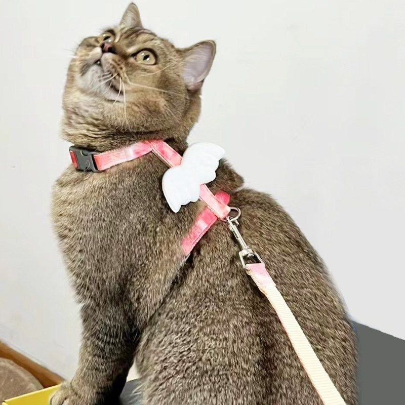 猫咪牵引绳防挣脱翅膀胸背带外出四季通用遛猫绳子专用可调节出行,宠物/宠物食品及用品,猫牵引绳,淘宝优惠券,粉丝福利购,淘宝优惠卷