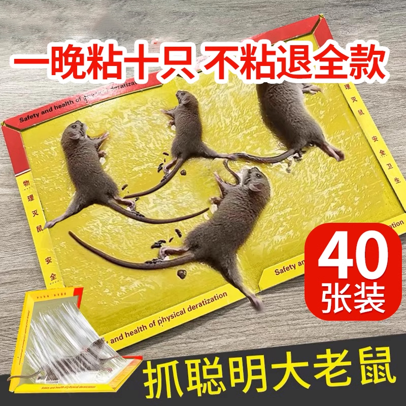 滅老鼠貼滅鼠捕鼠驅鼠沾抓老鼠
