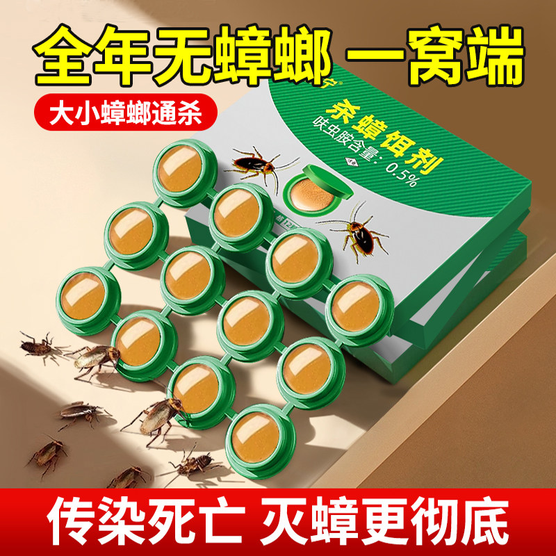 一只取食全窝端蟑螂神器绝杀正品