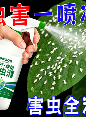 百虫清绿植花卉驱虫增养清除虫剂