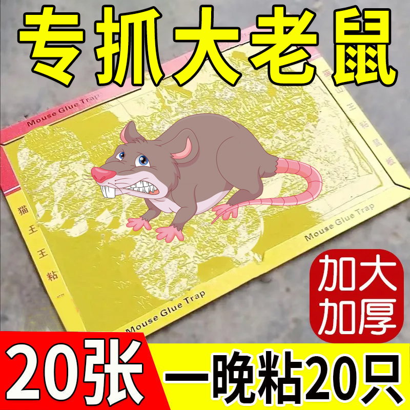 强力粘鼠板超强粘力老鼠贴抓老鼠