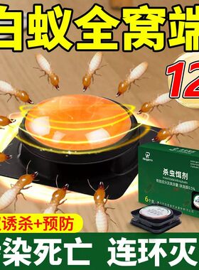 白蚁防治专用药全窝端家用