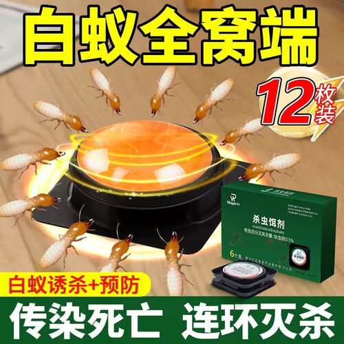 白蚁防治专用药全窝端家用