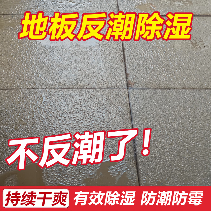 回南天地板墙壁吸水潮湿发霉反返潮除湿袋家用室内干燥神器喷剂wg