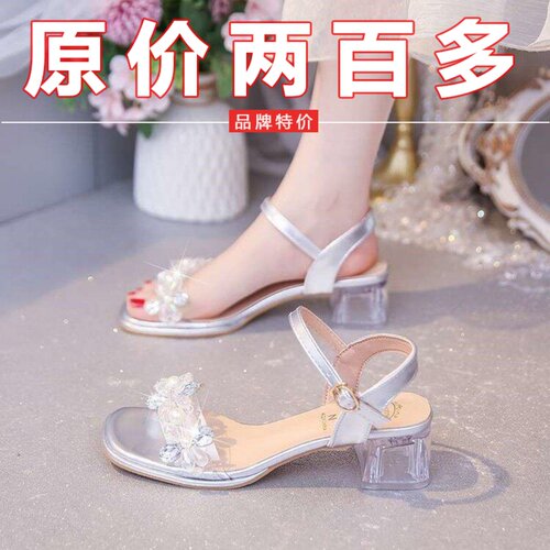 品牌真皮绝美水晶凉鞋女夏季新款粗跟时装一字带配裙子百搭高跟鞋