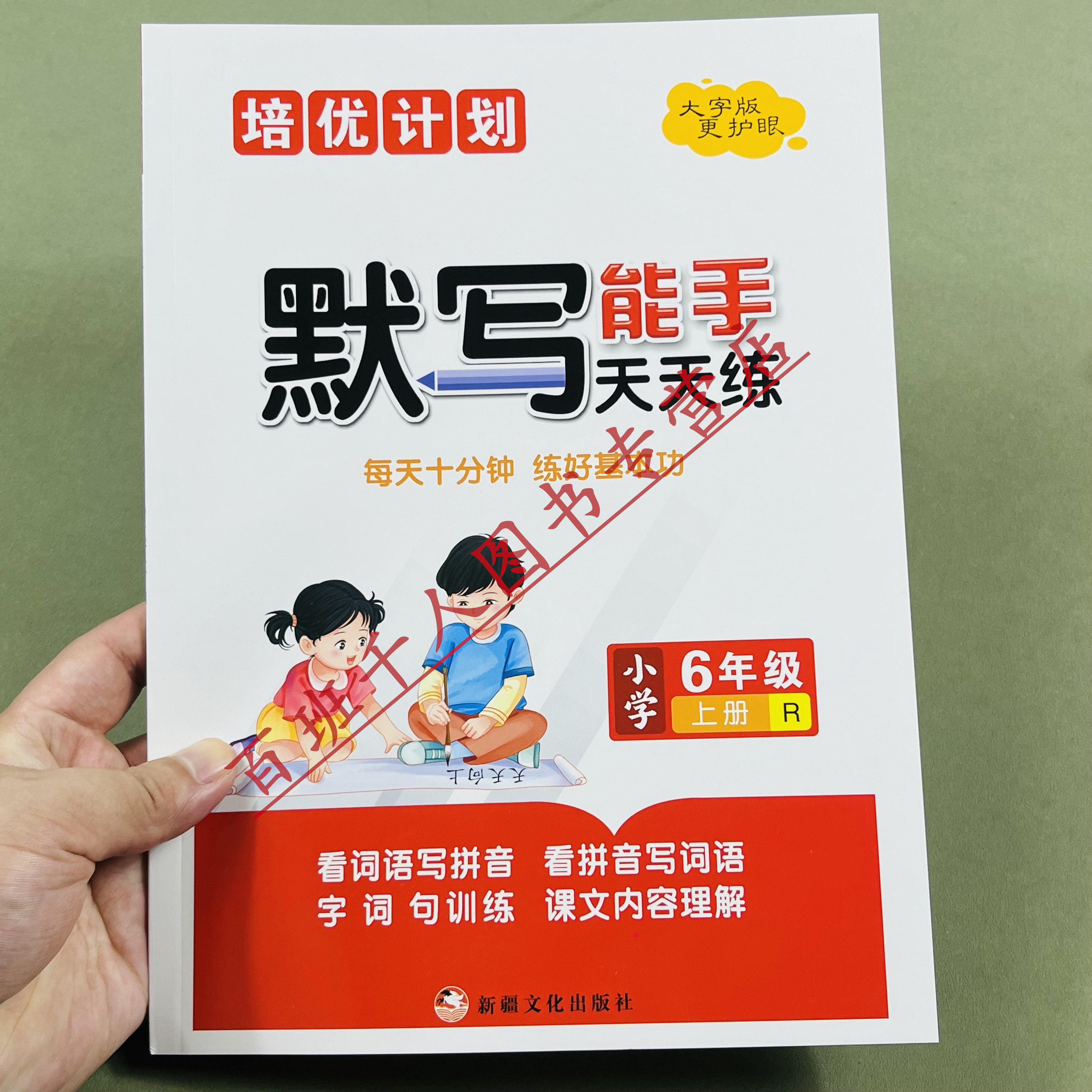 默写能手天天练六年级上册人教版