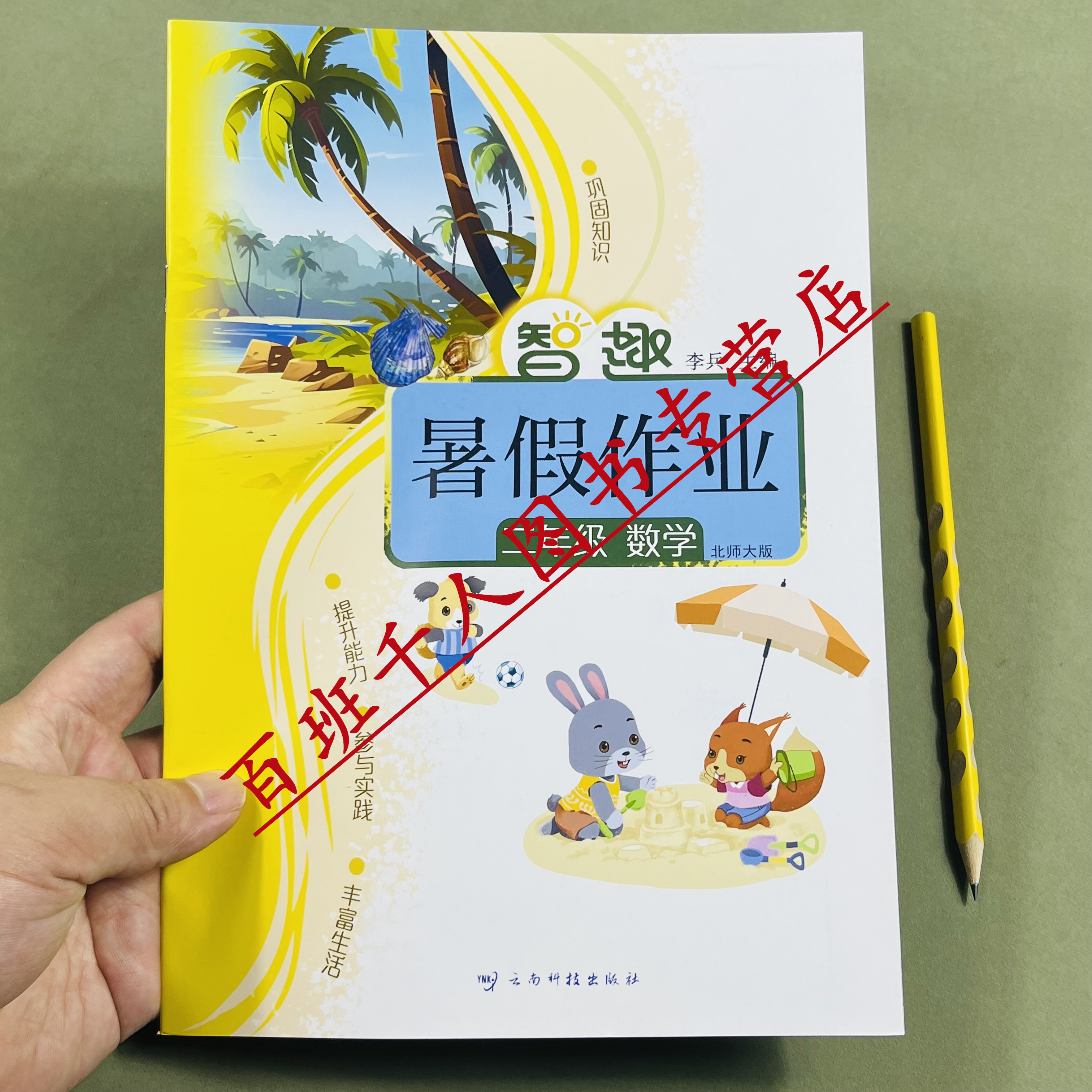 北师大版智趣暑假作业二年级数学