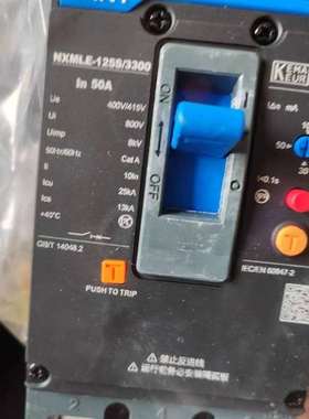 议价全新正泰昆仑开关NXMLE-125S/3300  40A两个