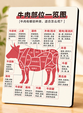 牛肉部位分割一览图装饰摆件鲜肉店餐饮厨房桌面装饰摆台
