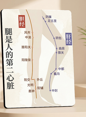 腿部经络穴位科普 美容院店内宣传桌面摆件