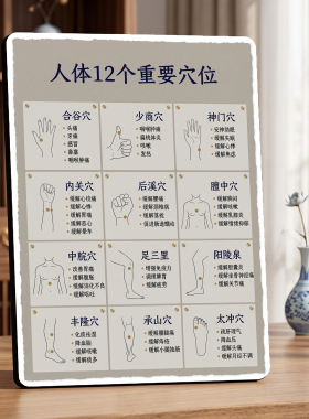 人体12个重要穴位养生店内展示桌面摆件