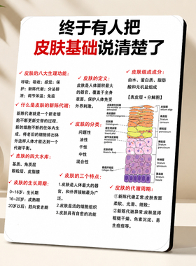 终于有人把皮肤基础说清楚了装饰摆件美容院美业门店科普展示牌