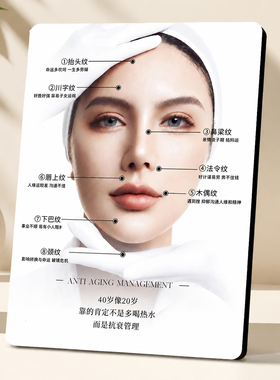美容院抗衰管理面部纹路解析摆件养生馆美业宣传展示装饰摆台