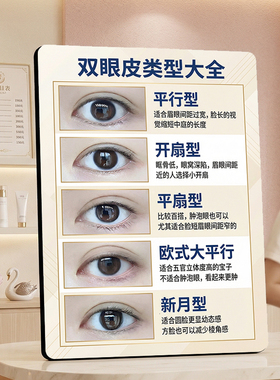 双眼皮类型大全科普展示牌医美美容院整形咨询桌面装饰摆件