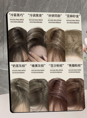 热门染发发色 美发店店内展示 桌面摆件宣传