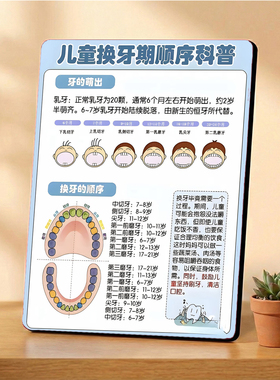 儿童换牙期顺序科普 口腔门店宣传展示 桌面摆件
