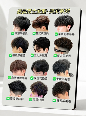 热门流行男士烫发发型参考展示牌理发店门店前台装饰摆件
