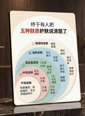 五种肤质护肤科普展示摆件美容皮肤管理店门店桌面装饰摆台