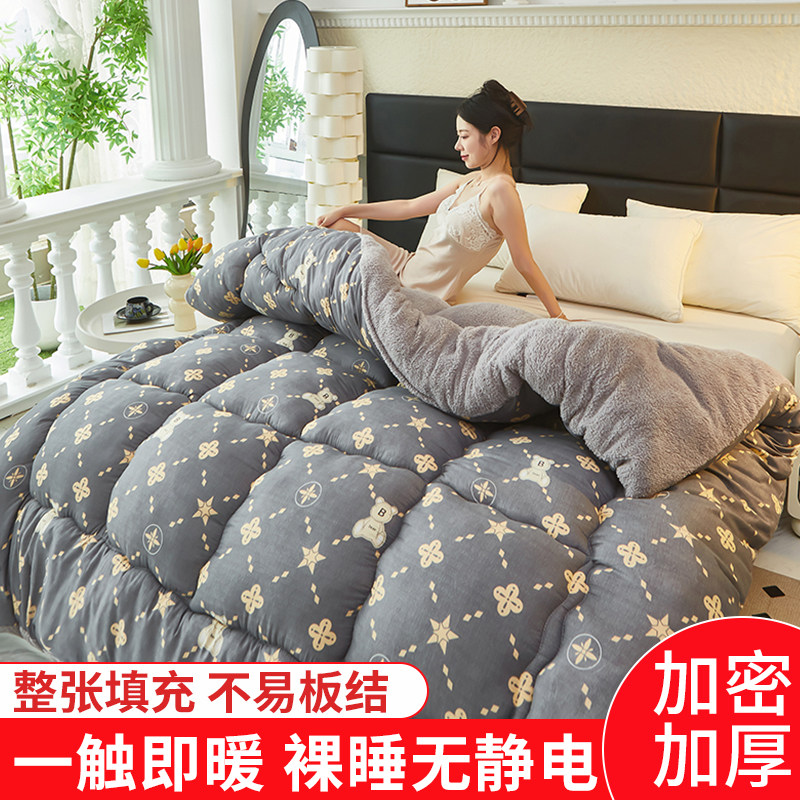 加厚保暖羊羔绒冬被10斤被子空调被棉被被芯宿舍单双人春秋被褥子,床上用品,化纤被,淘宝优惠券,粉丝福利购,淘宝优惠卷
