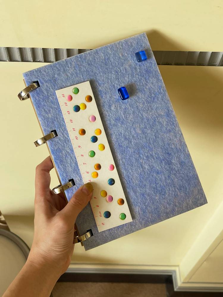 SoftServe柔软供应 《糖果毛毡》多功能活页便签笔记本 手帐本