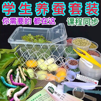 学校养蚕套装蚕宝宝吃的工具包蚕卵和桑叶儿童房子彩色活物1龄4龄