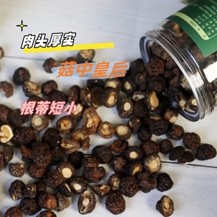 源晟特产金钱菇剪脚小干香菇冬菇小花菇无熏硫干货桶装 200g 包邮