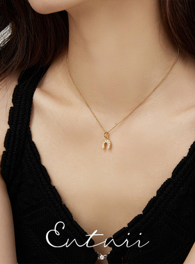 Entnii镶钻锆石马蹄项链锁骨链