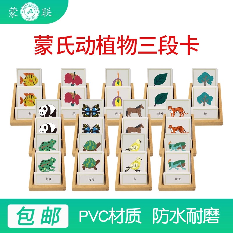 蒙氏2-6岁动植物认知三段卡