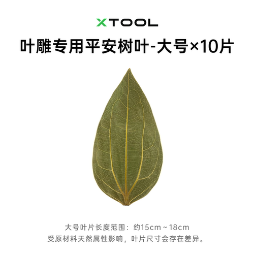 叶雕专用树叶平安叶10片装