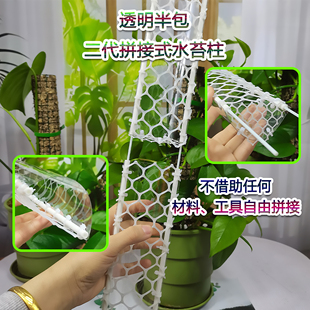 水苔柱蔓绿绒白龟半圆透明积木拼插加高攀爬植物龟背竹水台柱子