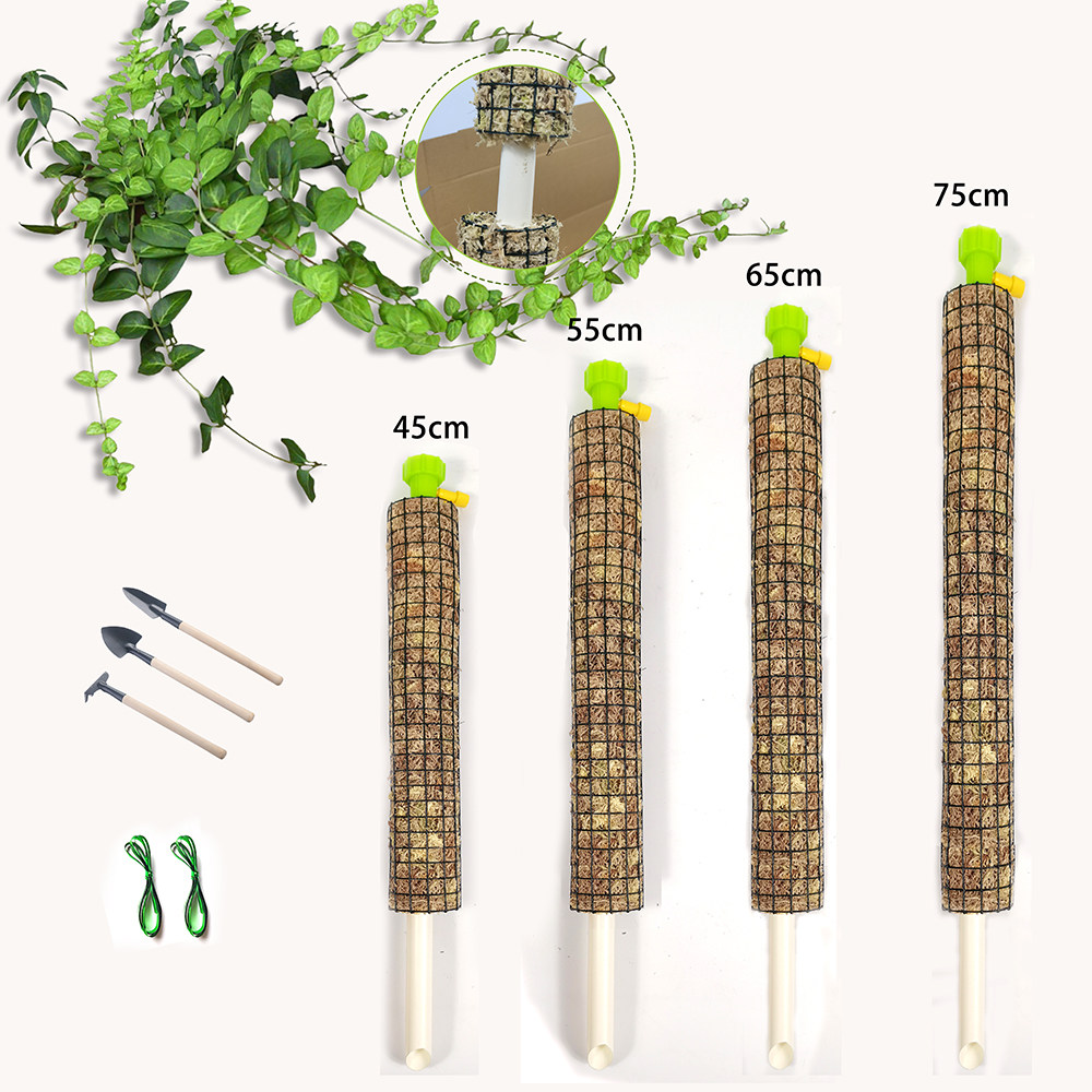 龟背竹专用水苔柱可拼接苔藓棒白锦蔓绿绒绿萝爬藤攀附支撑杆水台图片