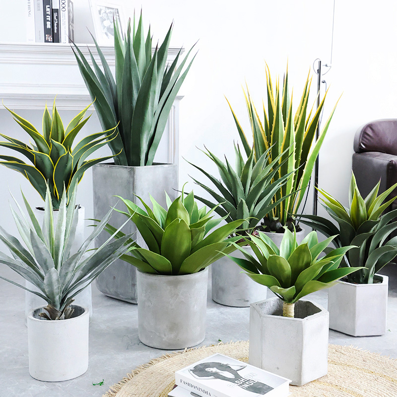 仿真龙舌兰长叶盆栽假锯齿剑兰热带沙漠肉质绿植室内庭院景观装饰