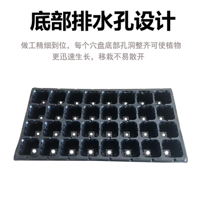 育苗盘育苗盆穴盘塑料杯种植神器营养鉢蔬菜育种扦插盒农用托盘盆