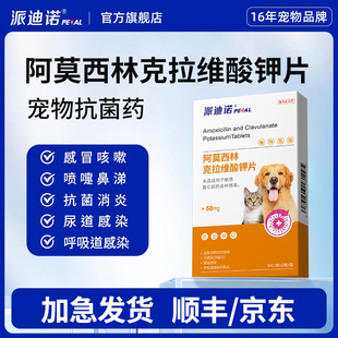 派迪诺猫咪消炎药阿莫西林克拉维酸钾片感冒猫鼻支狗狗咳嗽宠物