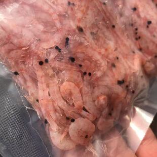 冰冻南极磷虾冷冻高蛋白萨伊蓝财神龙鱼中大型观赏鱼食鱼饲料