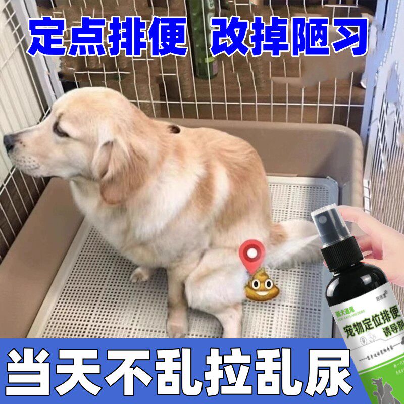 狗狗厕所诱导剂大小便定位定点排便训厕液宠物尿尿拉屎便便导尿剂